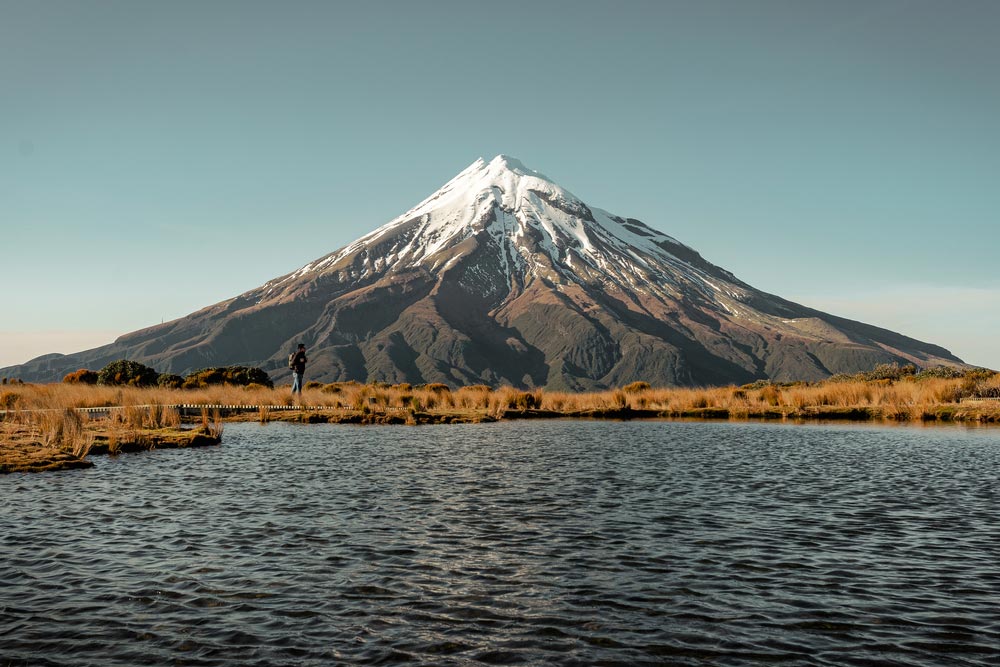 new zealand welcome back backpackers and travellers